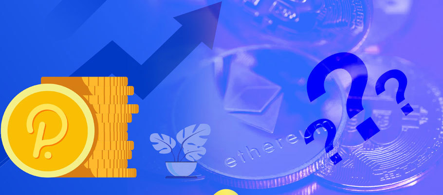 Polkadot-Based Exchanges are on the Rise. What Does It Mean for Crypto Trading?