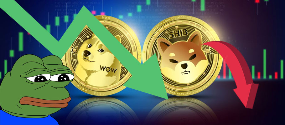 Meme Coins Take a Dive, Drop 20 Per Cent in Seven Days
