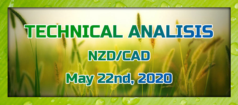 NZD/CAD May Rise Higher, Considering Strong NZD and Weak CAD due to Low Oil Prices