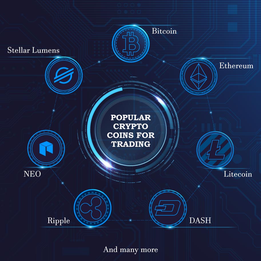 Infographics: Assets offered by crypto forex brokers
