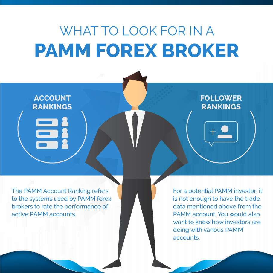 Infographics: What to look for in a PAMM Forex broker